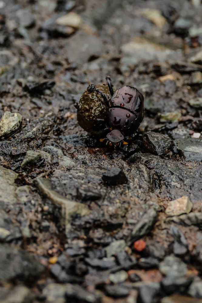 Фотография автора Shalini Jain