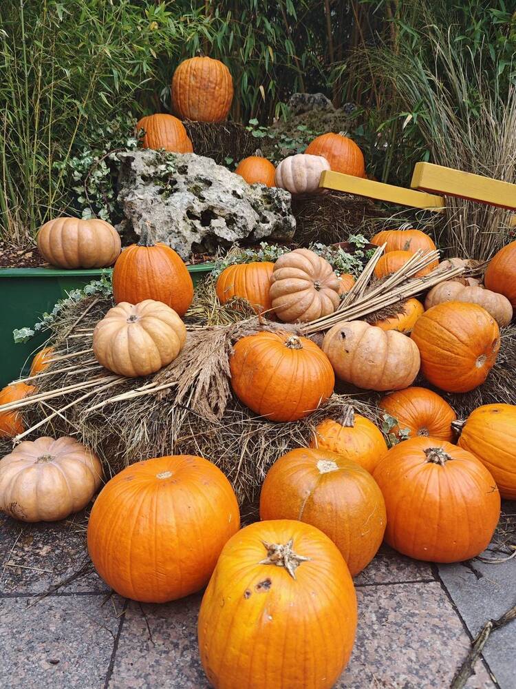 Photograph by Елена Шоколенко