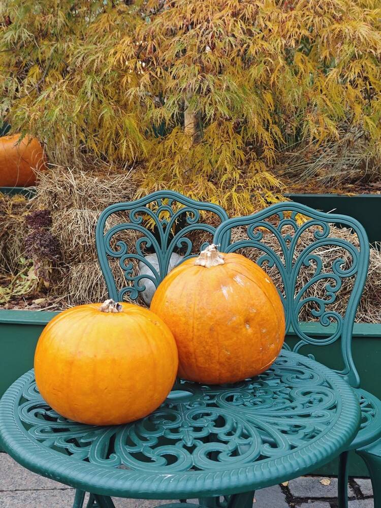 Photograph by Елена Шоколенко