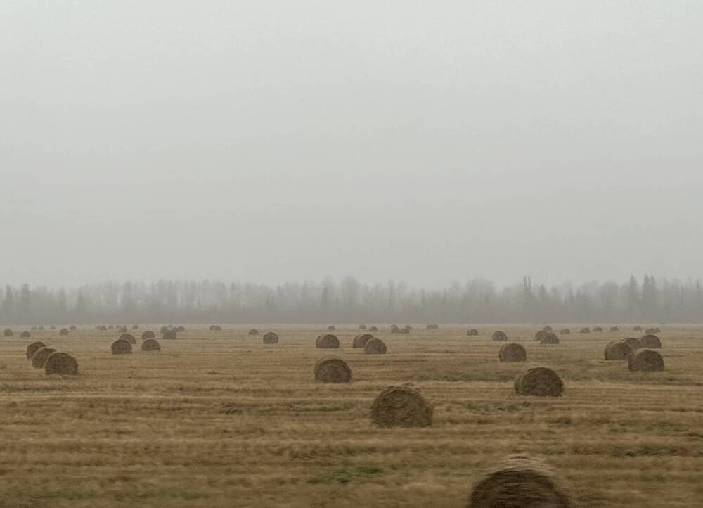 Photograph by Светлана Семакина