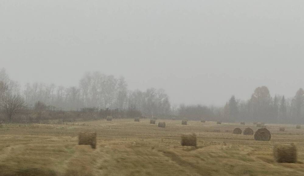 Photograph by Светлана Семакина