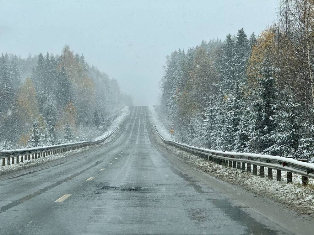 Photograph by Светлана Семакина