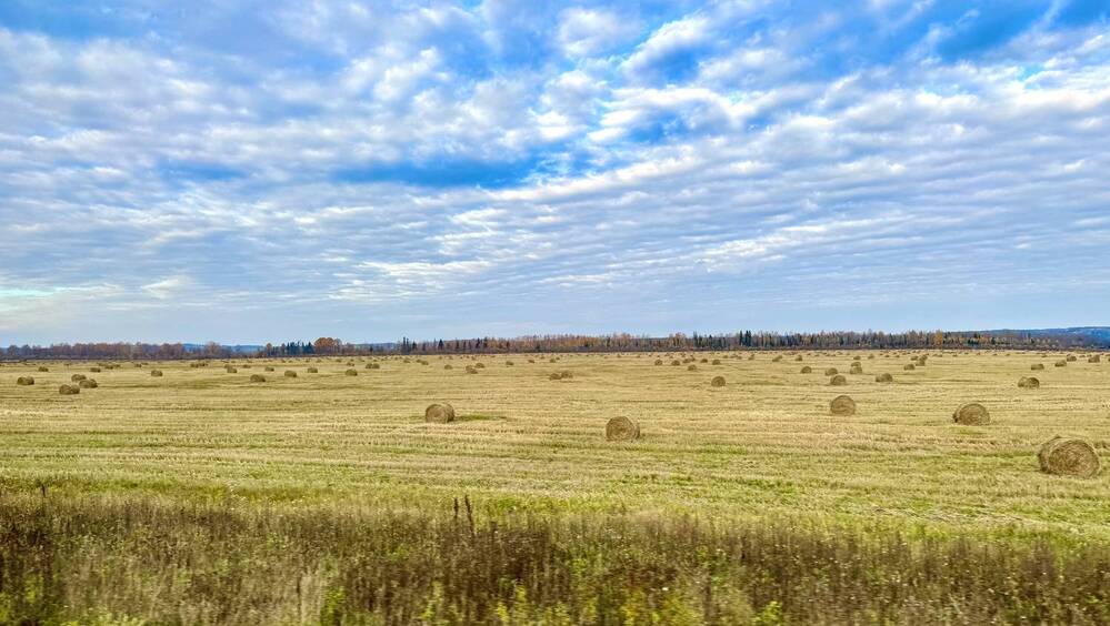 Photograph by Светлана Семакина