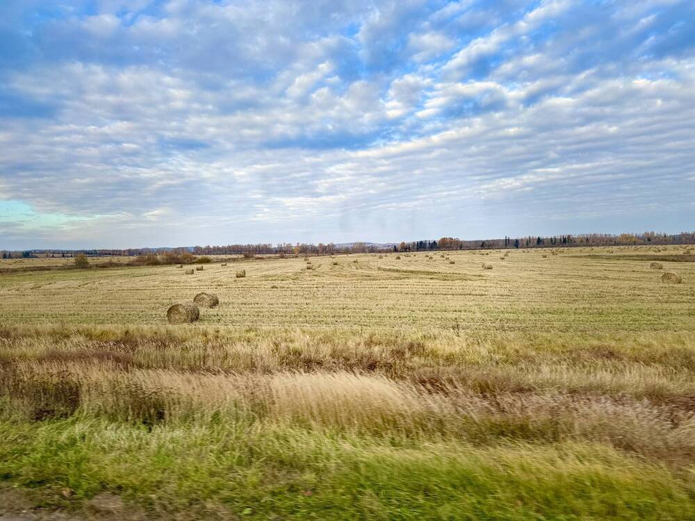 Photograph by Светлана Семакина