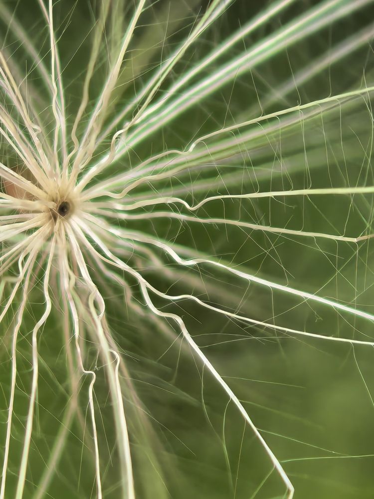 Photograph by Светлана Бондарева