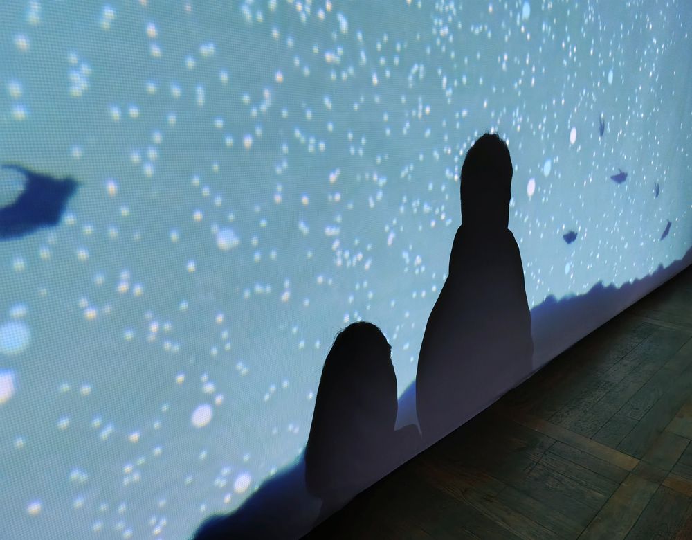 Photograph by Tatiana