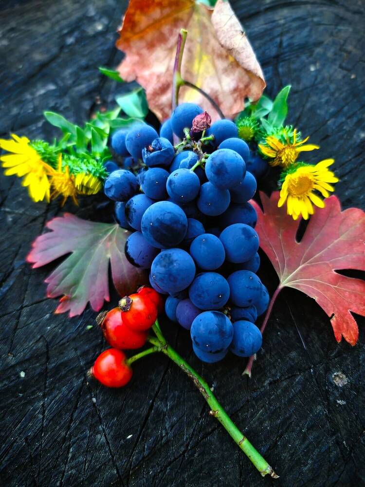 Photograph by Сергей Мамалюк