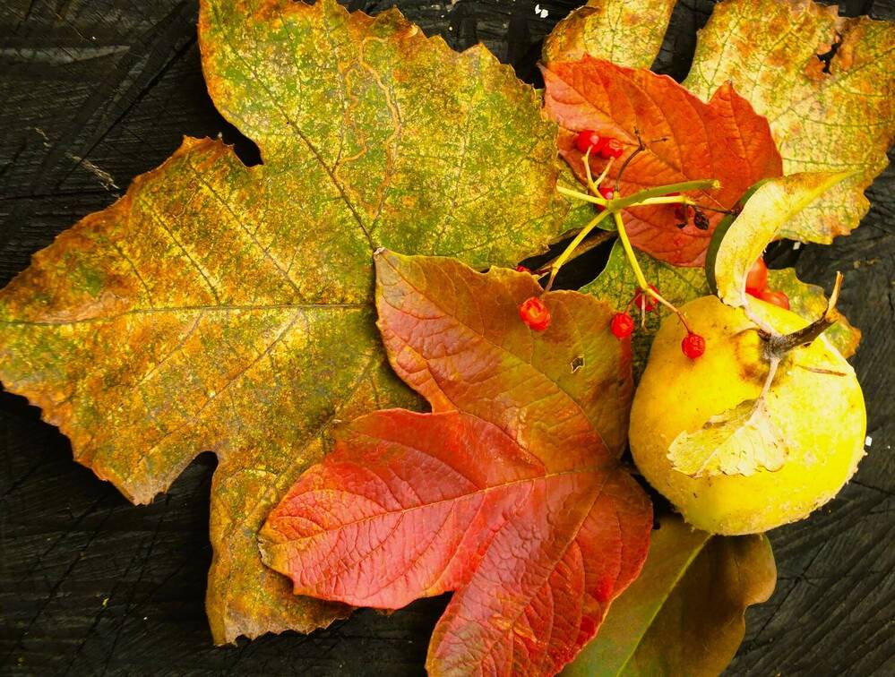 Photograph by Сергей Мамалюк