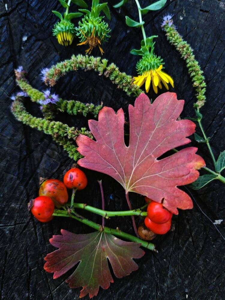 Photograph by Сергей Мамалюк