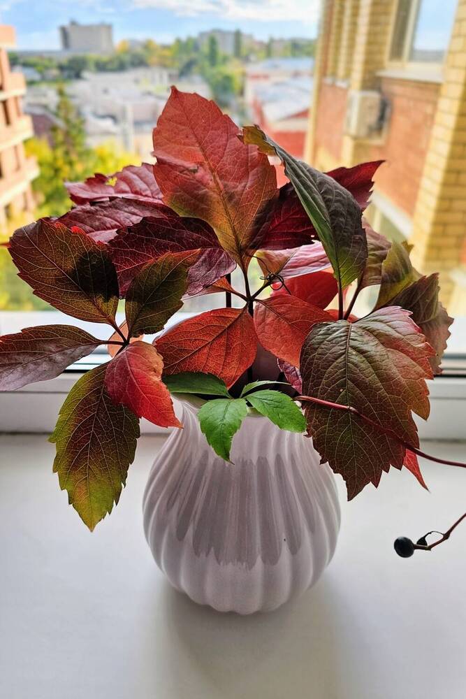 Photograph by Людмила Локтионова