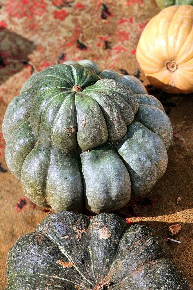 Photograph by Людмила Локтионова