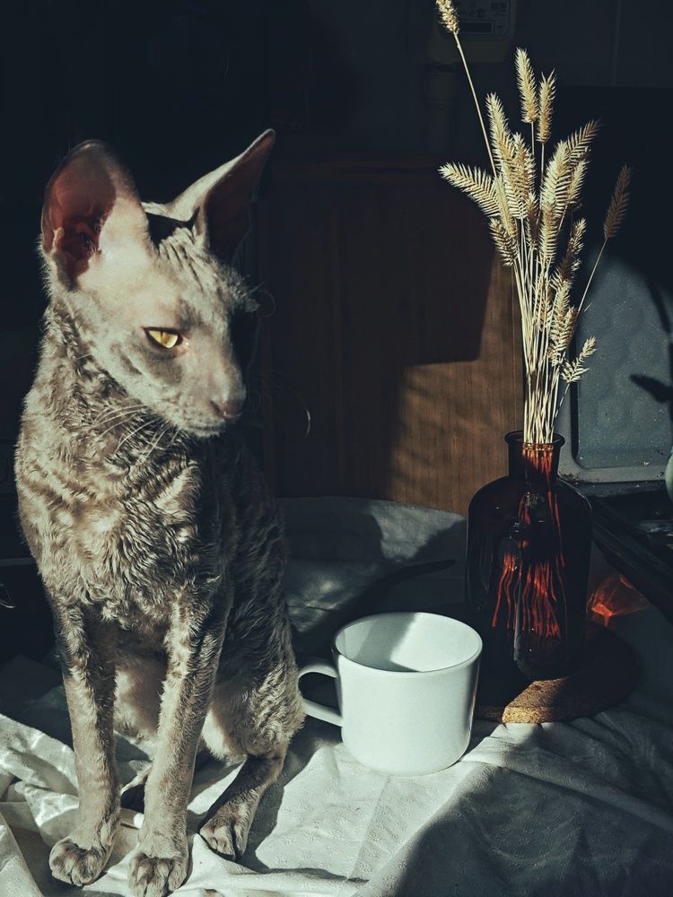 Фотография автора Наталья Силантьева