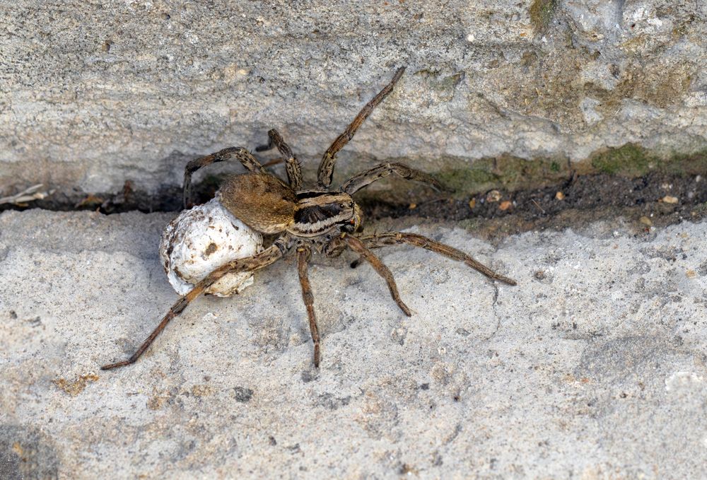 Photograph by Басыров Валерий