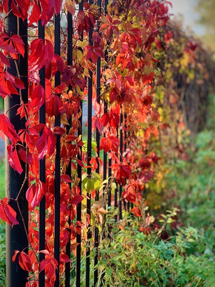 Photograph by Элла Слюсарь