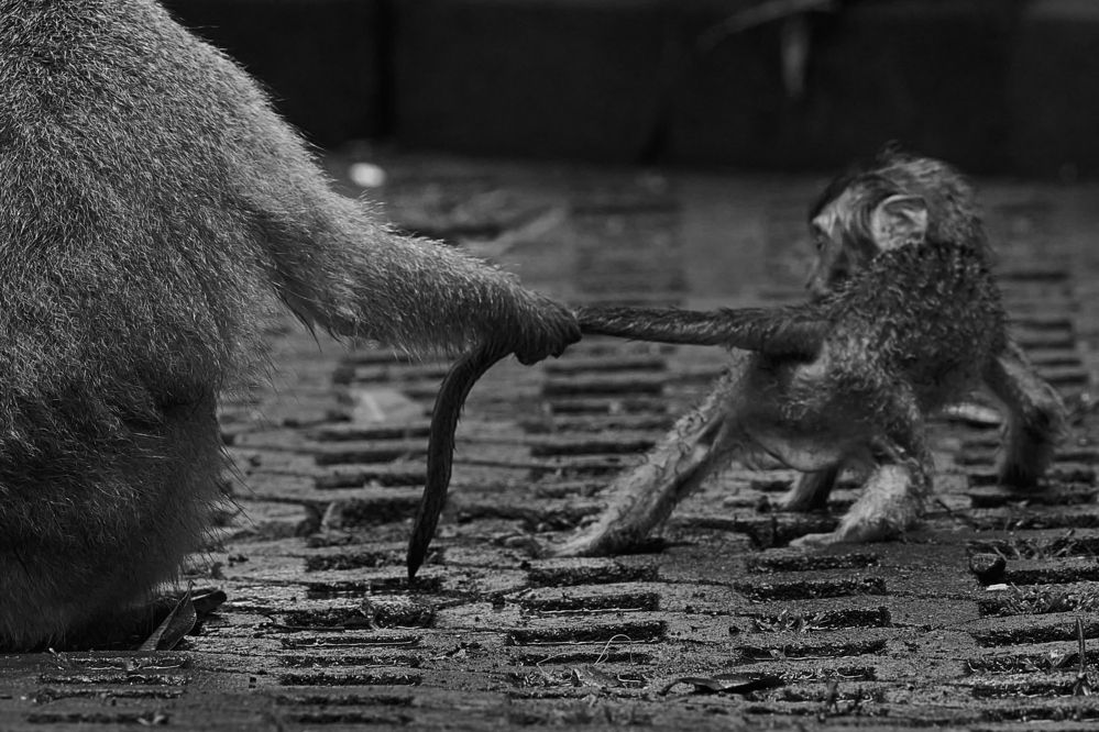 Photograph by Владислав Данилов