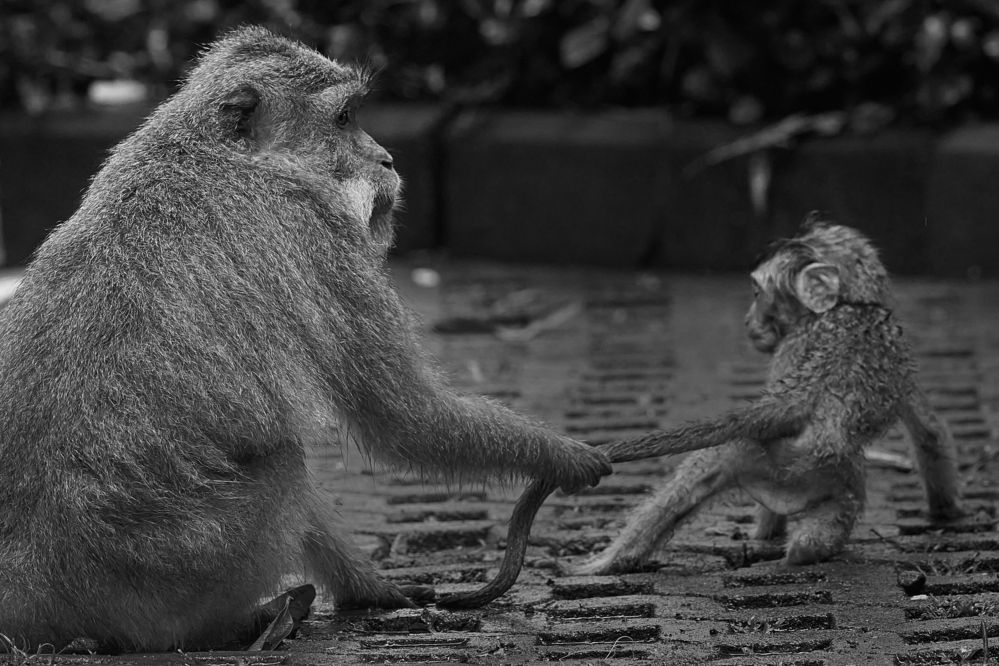 Photograph by Владислав Данилов