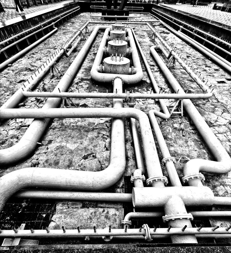 Photograph by Кривенко Владимир