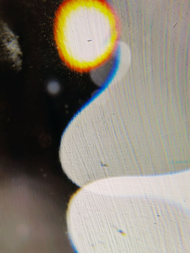 Photograph by Alexandra Mazur