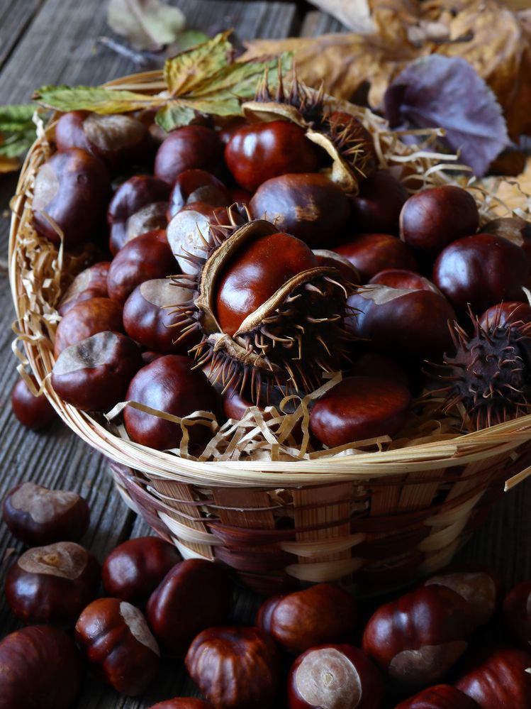 Фотография автора Воронина Татьяна