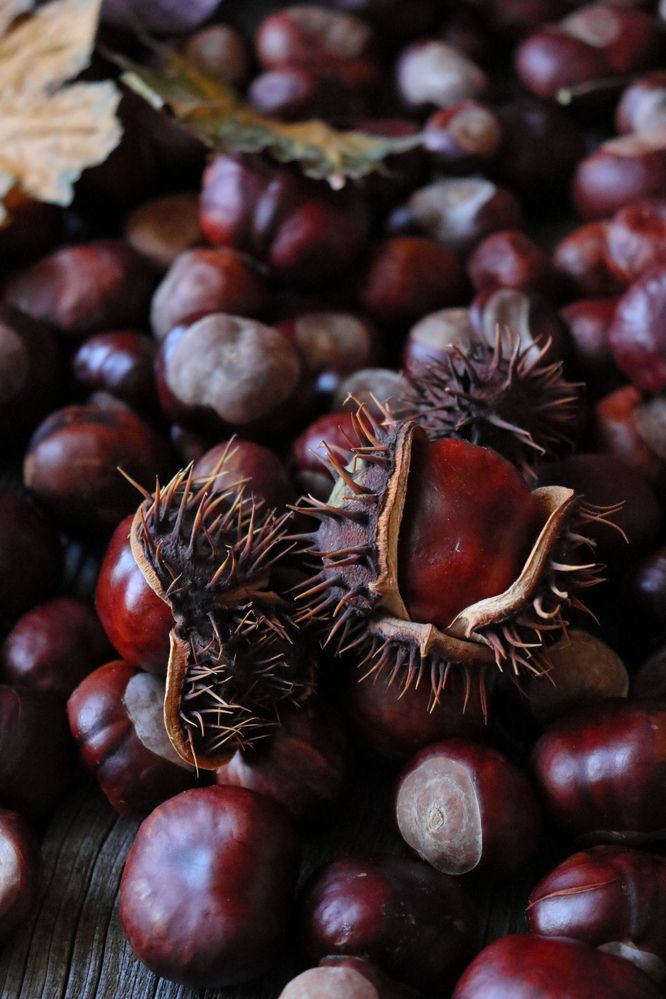 Фотография автора Воронина Татьяна