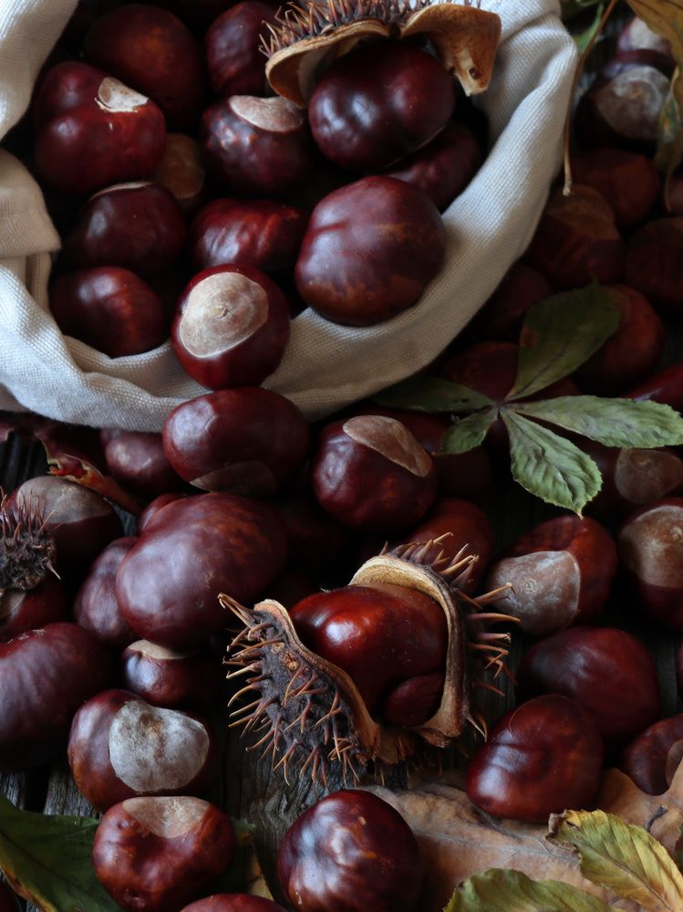 Фотография автора Воронина Татьяна