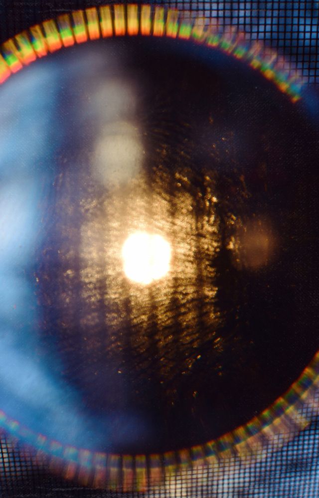 Photograph by Alexandra Mazur