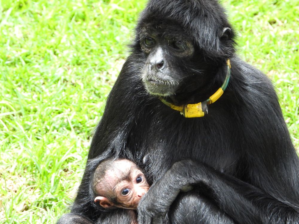 Фотография автора Camilo Martinez