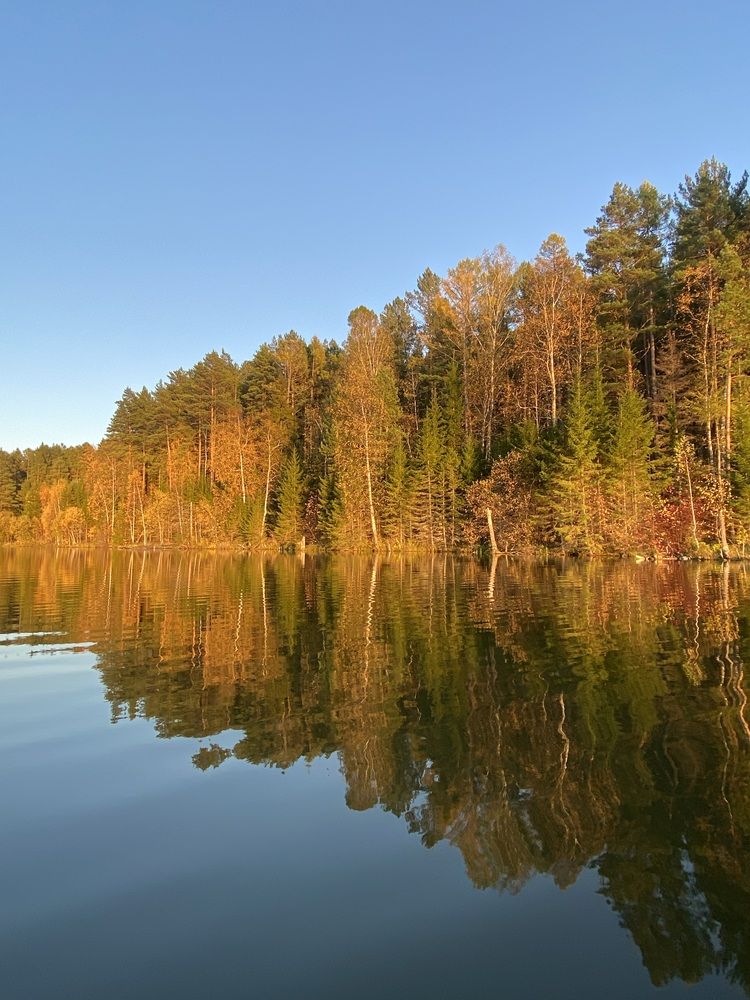 Photograph by Светлана Дмитриева