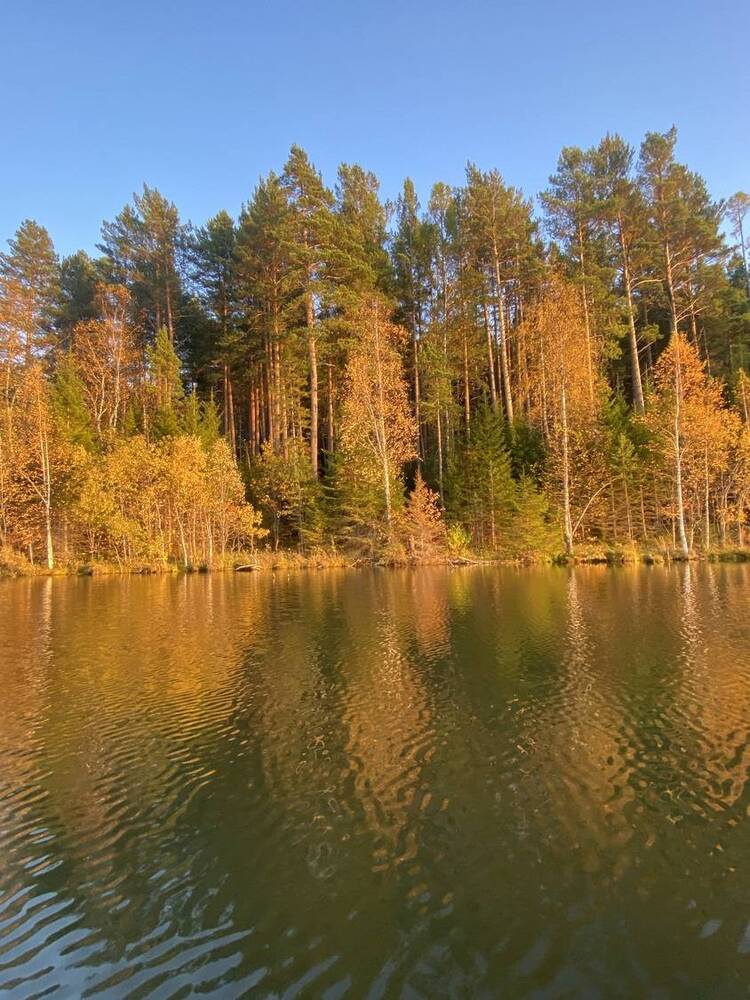 Photograph by Светлана Дмитриева