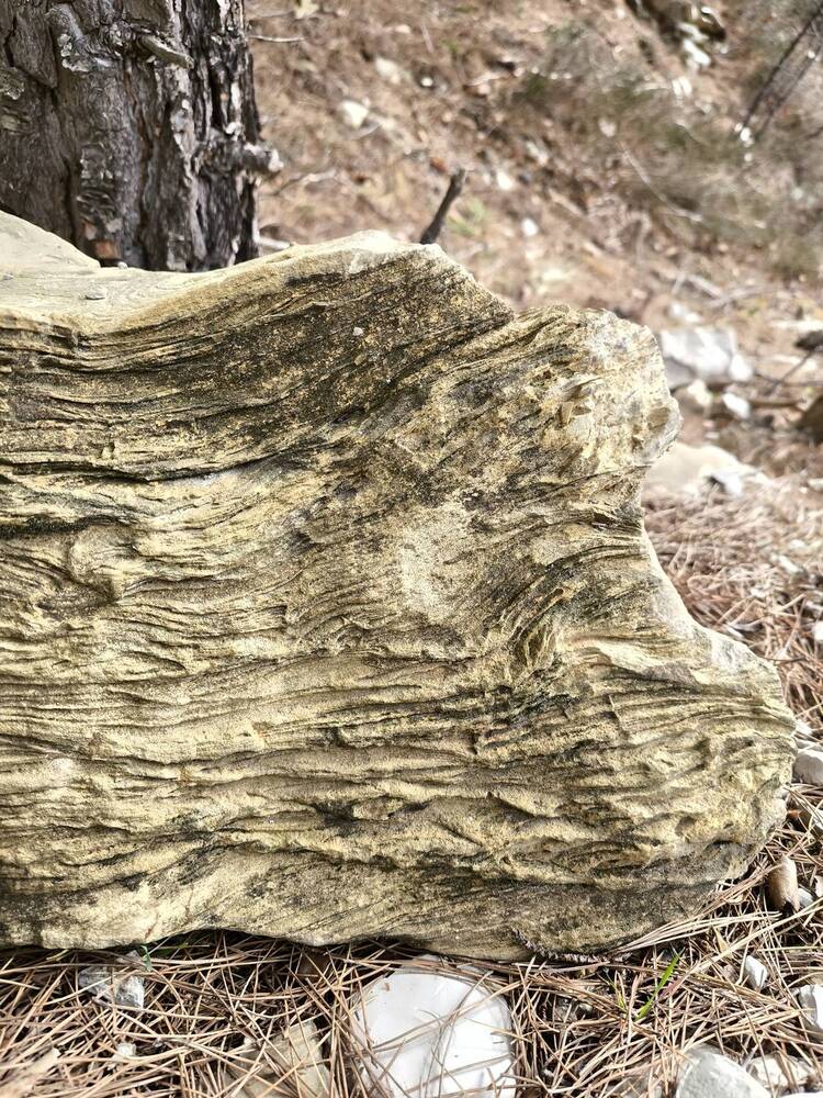 Фотография автора Юлия Лубкина