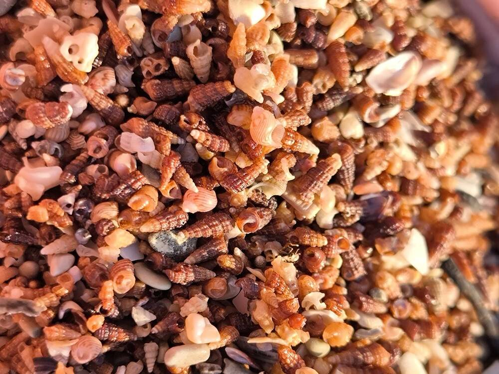 Фотография автора Юлия Лубкина