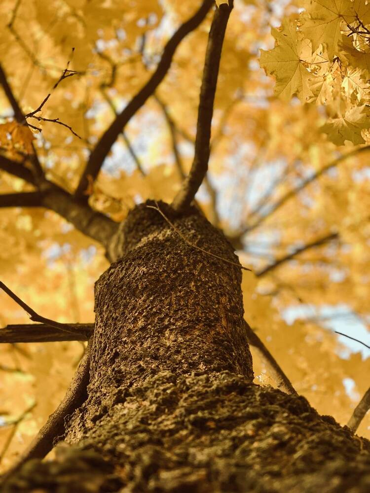 Photograph by Элла Слюсарь