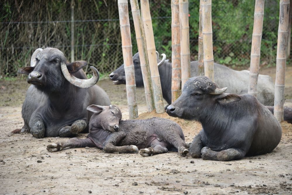 Фотография автора Camilo Martinez