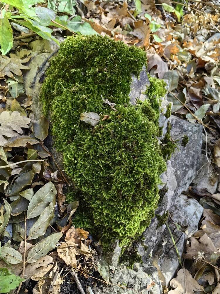 Фотография автора Юлия Лубкина