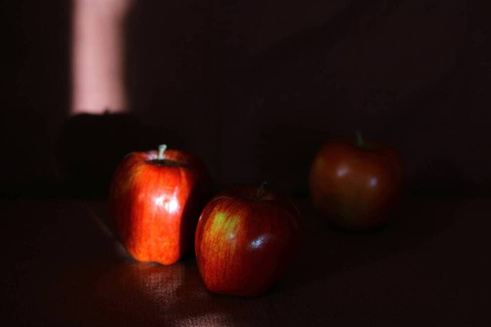 Photograph by Галина Трофимова