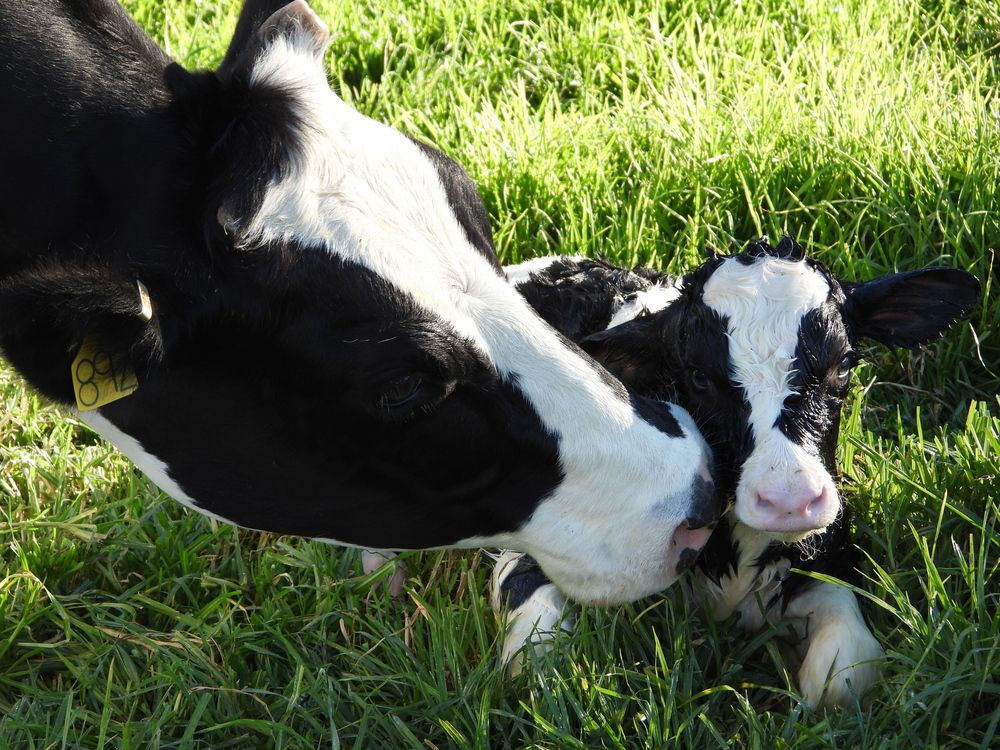 Фотография автора Camilo Martinez