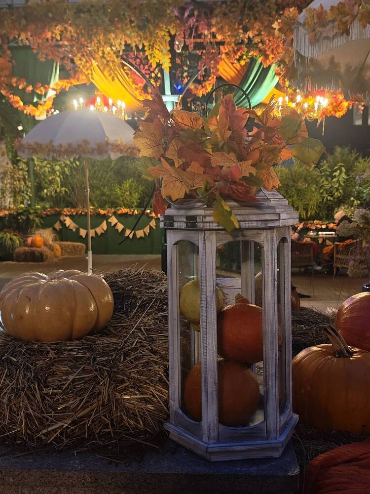 Photograph by Елена Шоколенко