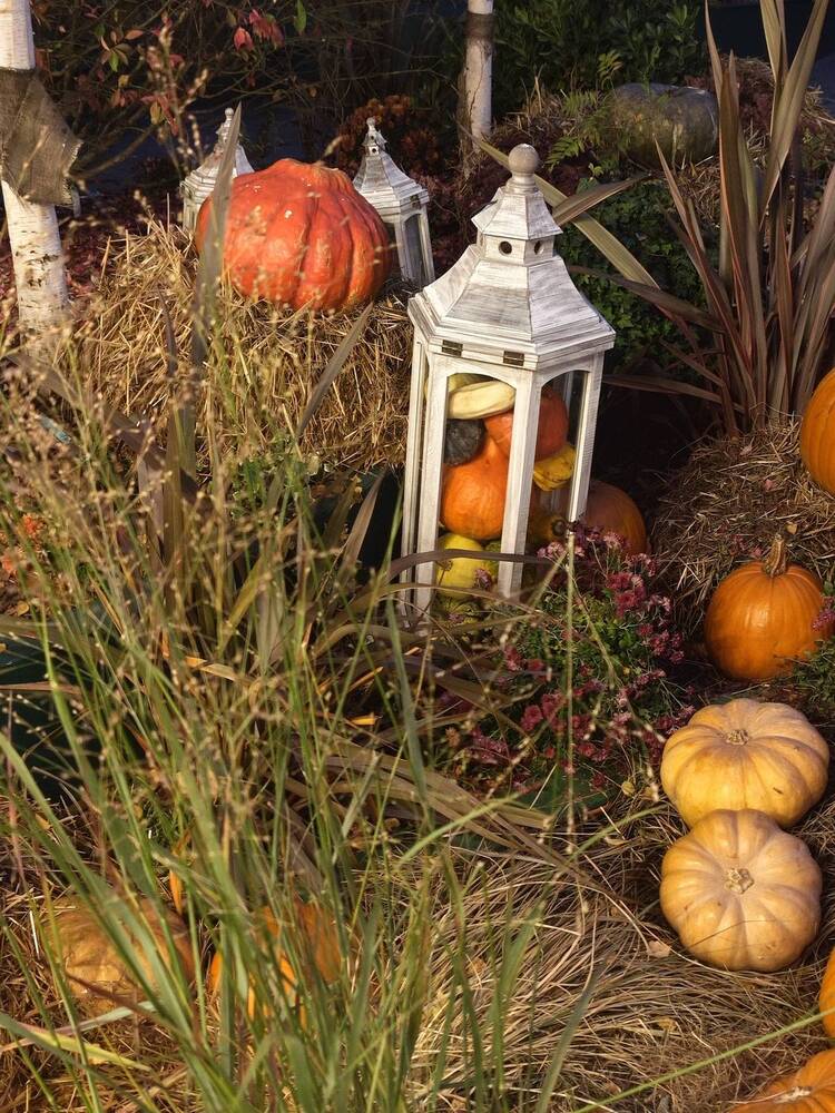 Photograph by Елена Шоколенко