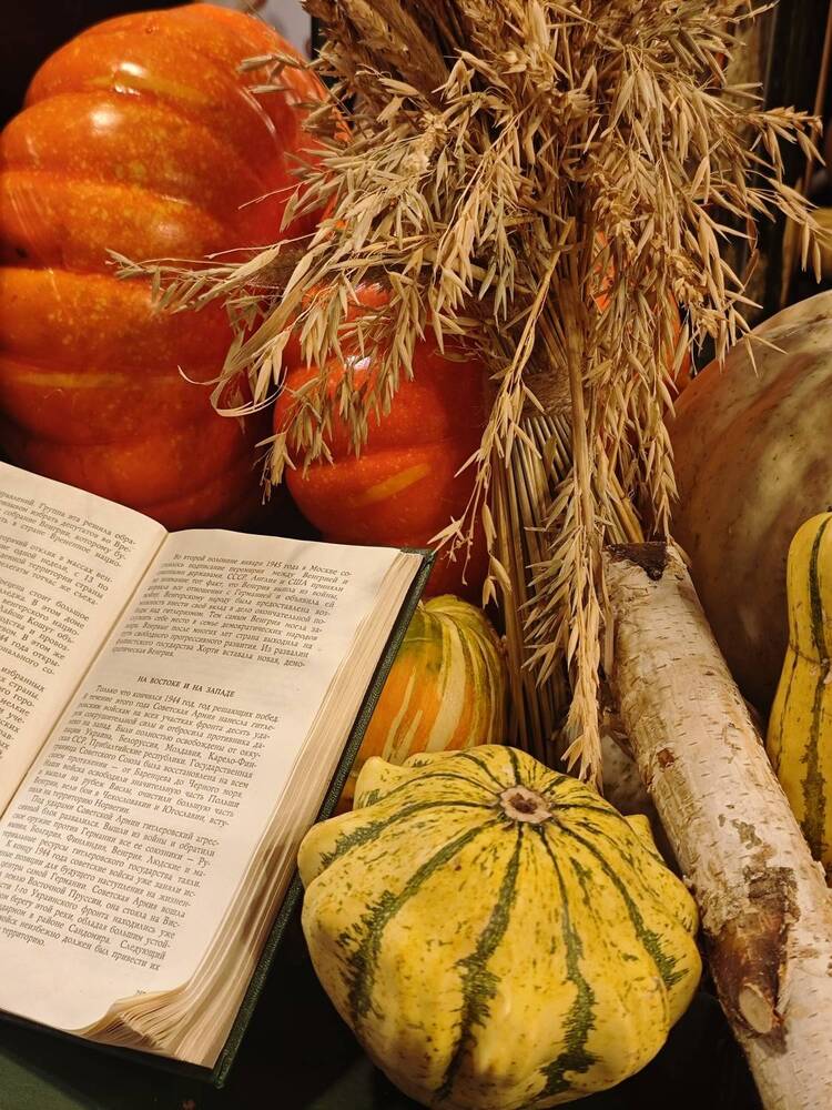 Photograph by Елена Шоколенко