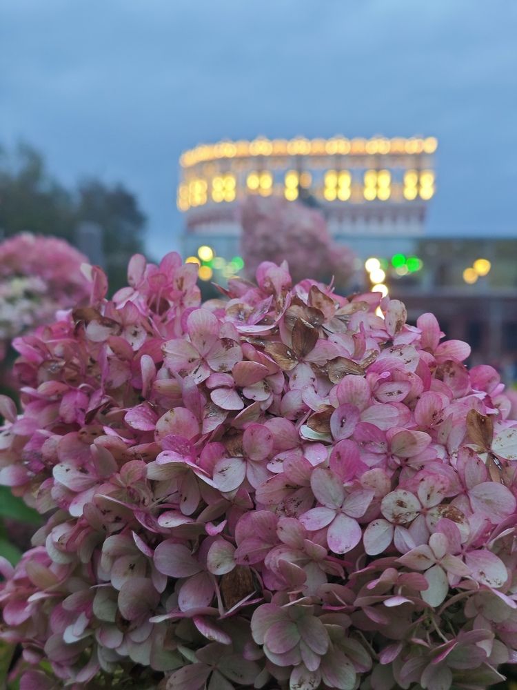 Photograph by Елена Шоколенко