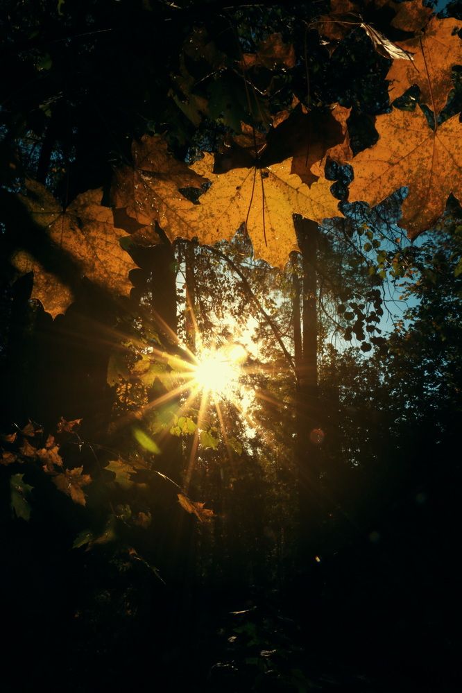 Фотография автора Юрий Звонарев