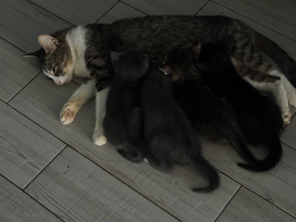 Photograph by Галина Трофимова