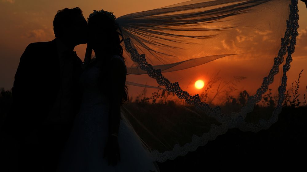 Photograph by Reza Zanganeh