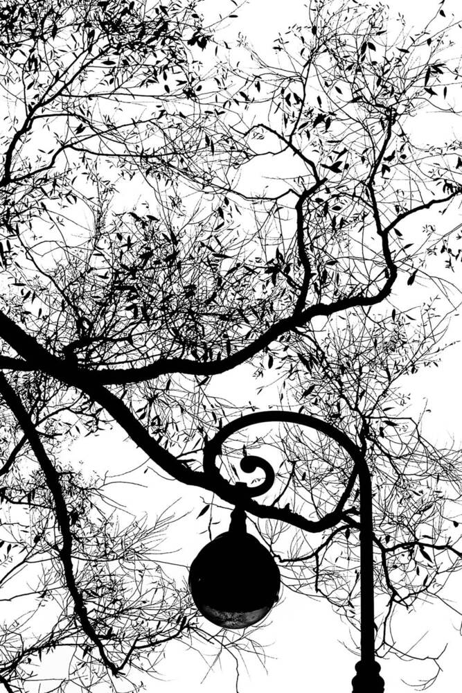 Фотография автора Екатерина Першина