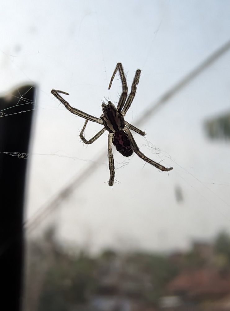 Photograph by Rajnewton Sonowal