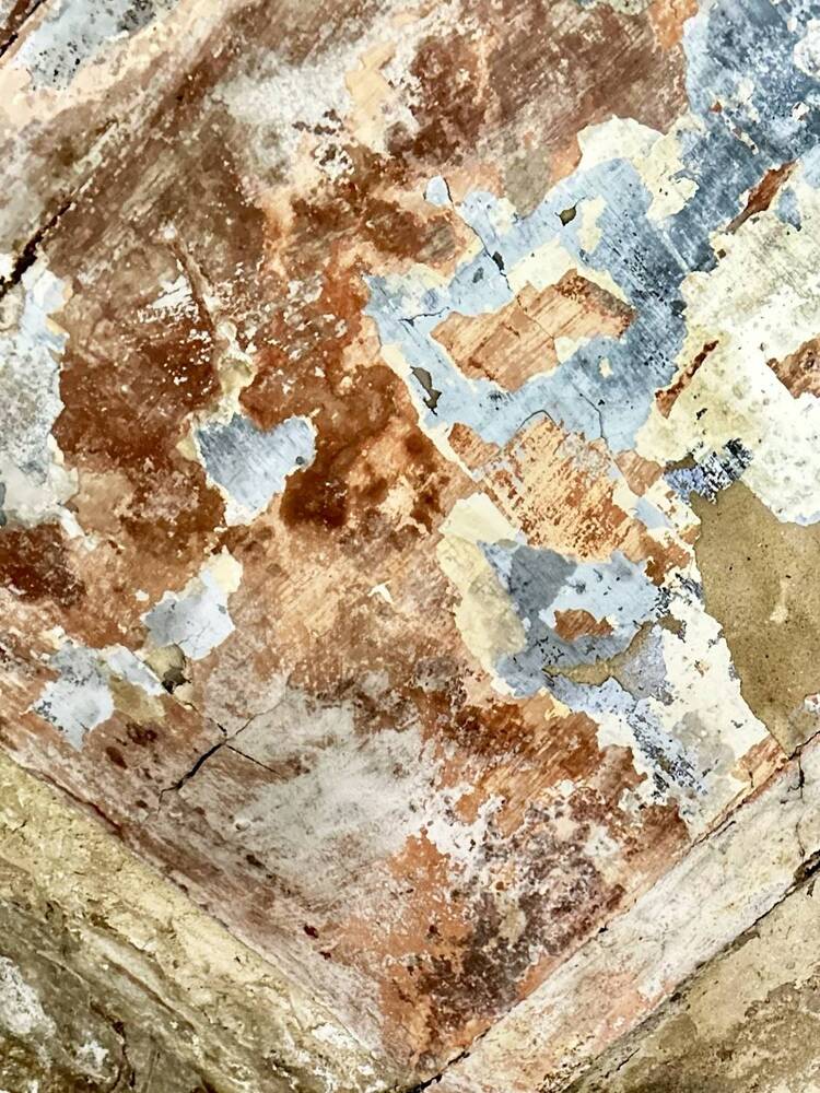 Photograph by Эльза Трисантович