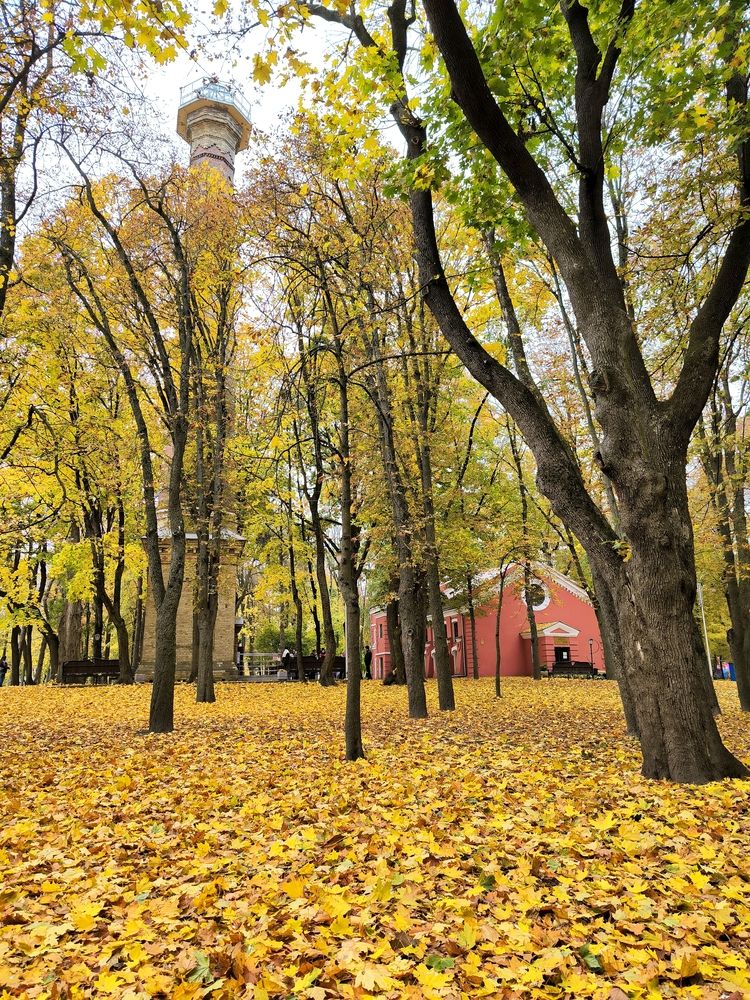 Photograph by Александр Житник