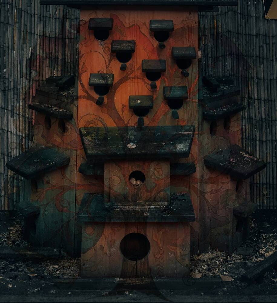 Фотография автора Ольга Кунакова