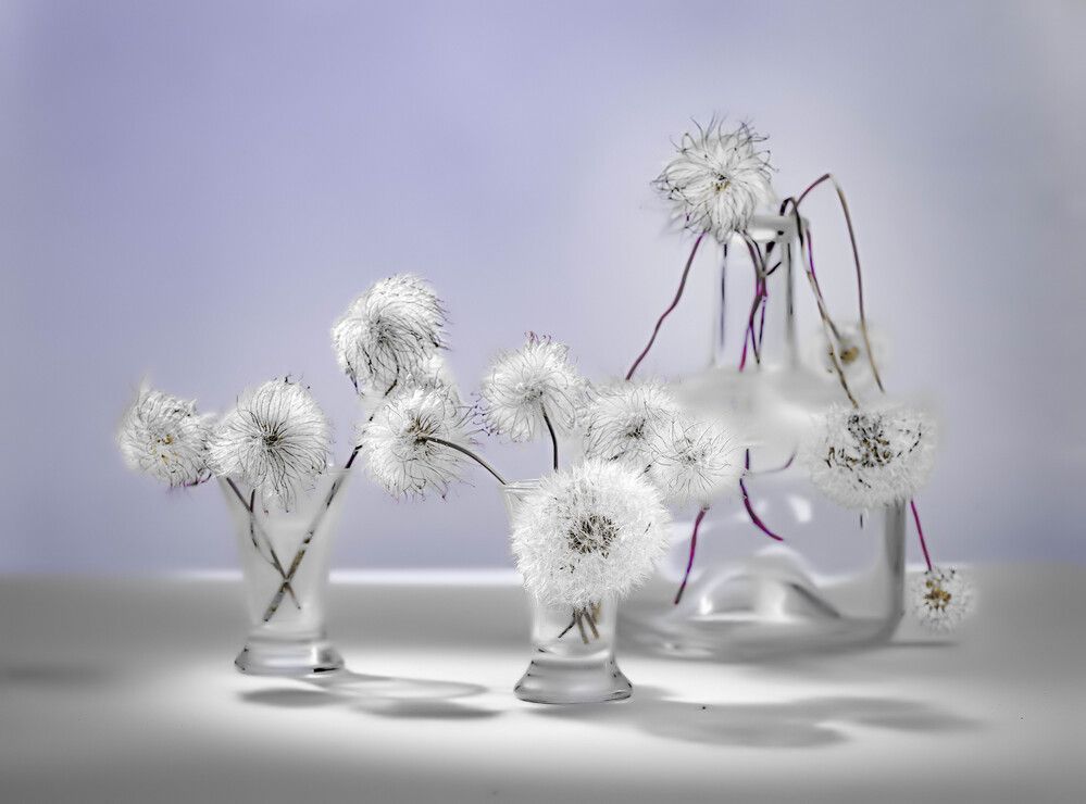 Фотография автора Валентин Черновол