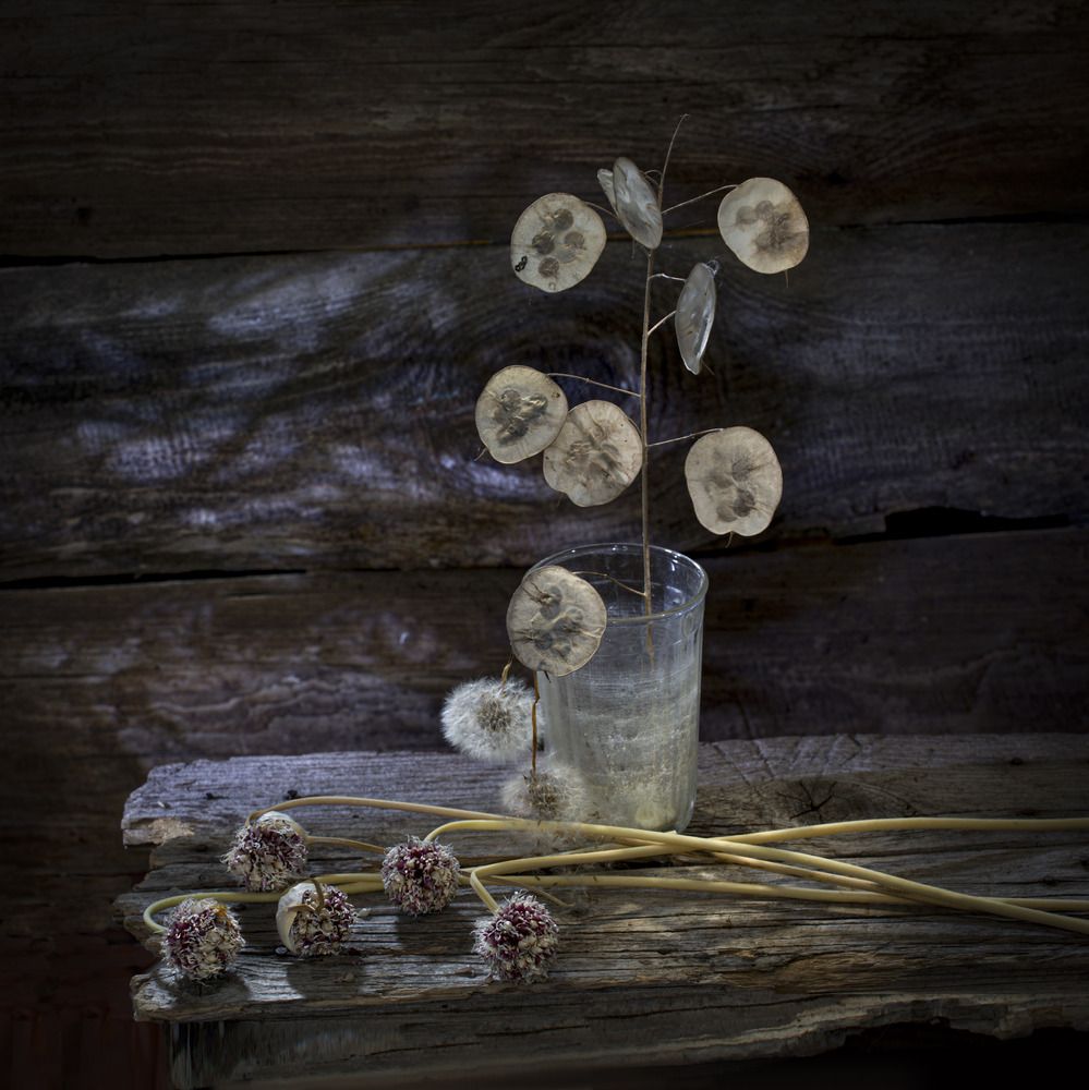 Фотография автора Валентин Черновол